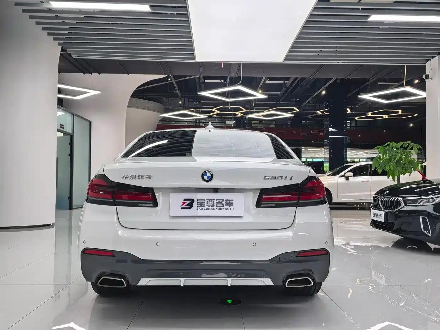 2021 BMW 5 Series 530Li Leading Edition M Sport Package — миниатюра 11