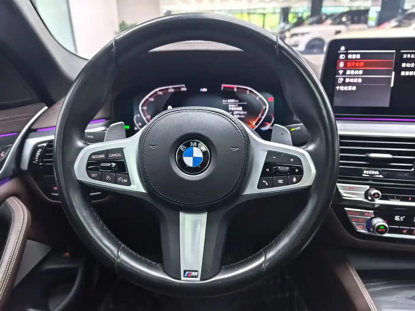 2021 BMW 5 Series 530Li Leading Edition M Sport Package — миниатюра 13