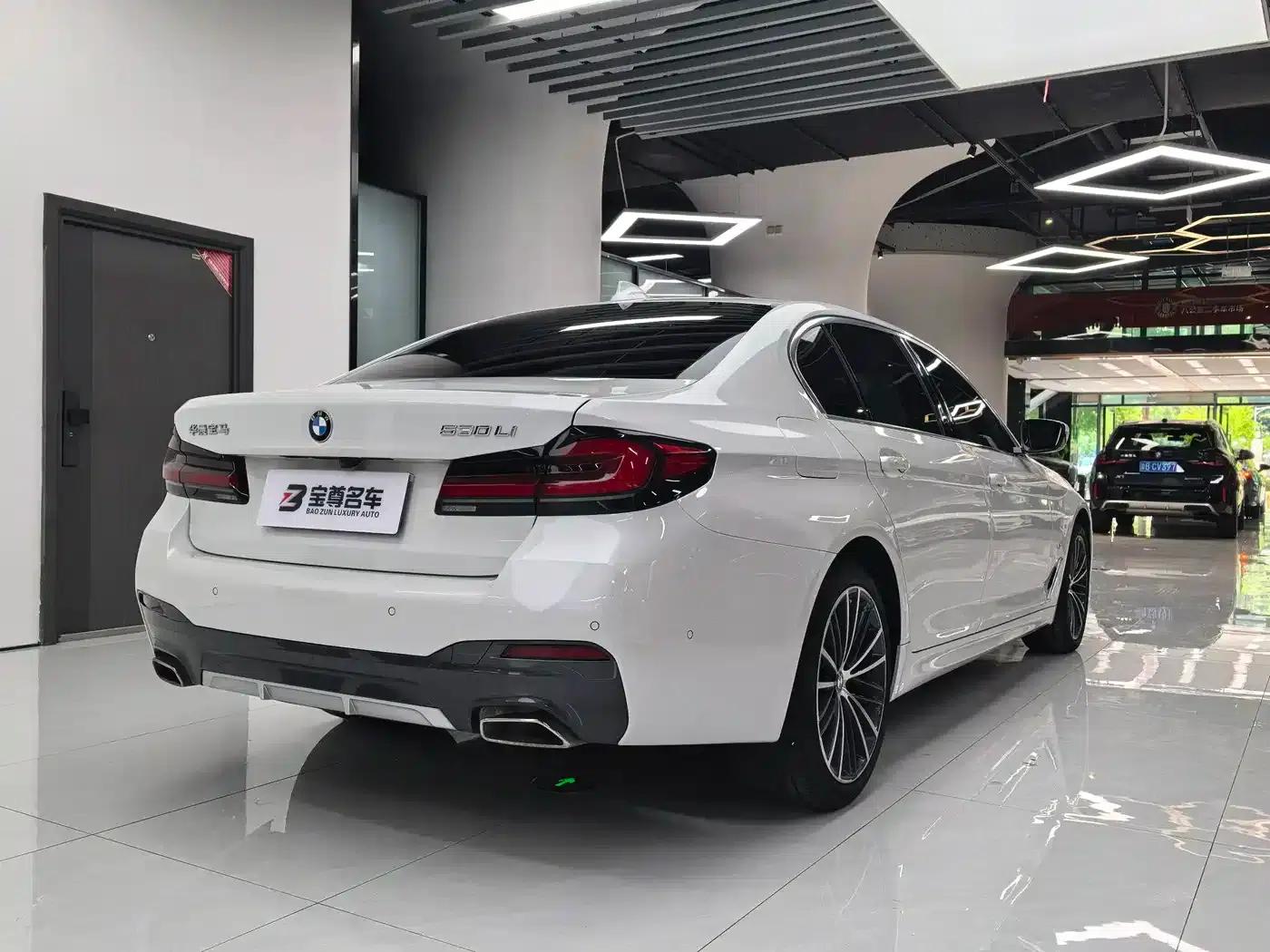 2021 BMW 5 Series 530Li Leading Edition M Sport Package — миниатюра 16