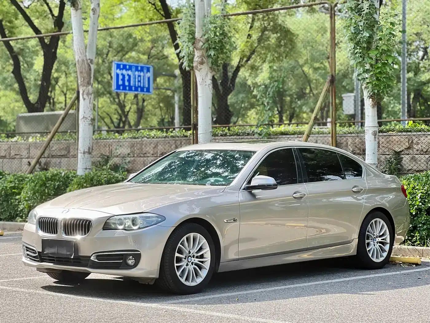 2014 BMW 5 Series 525Li Luxury Design Package — миниатюра 1