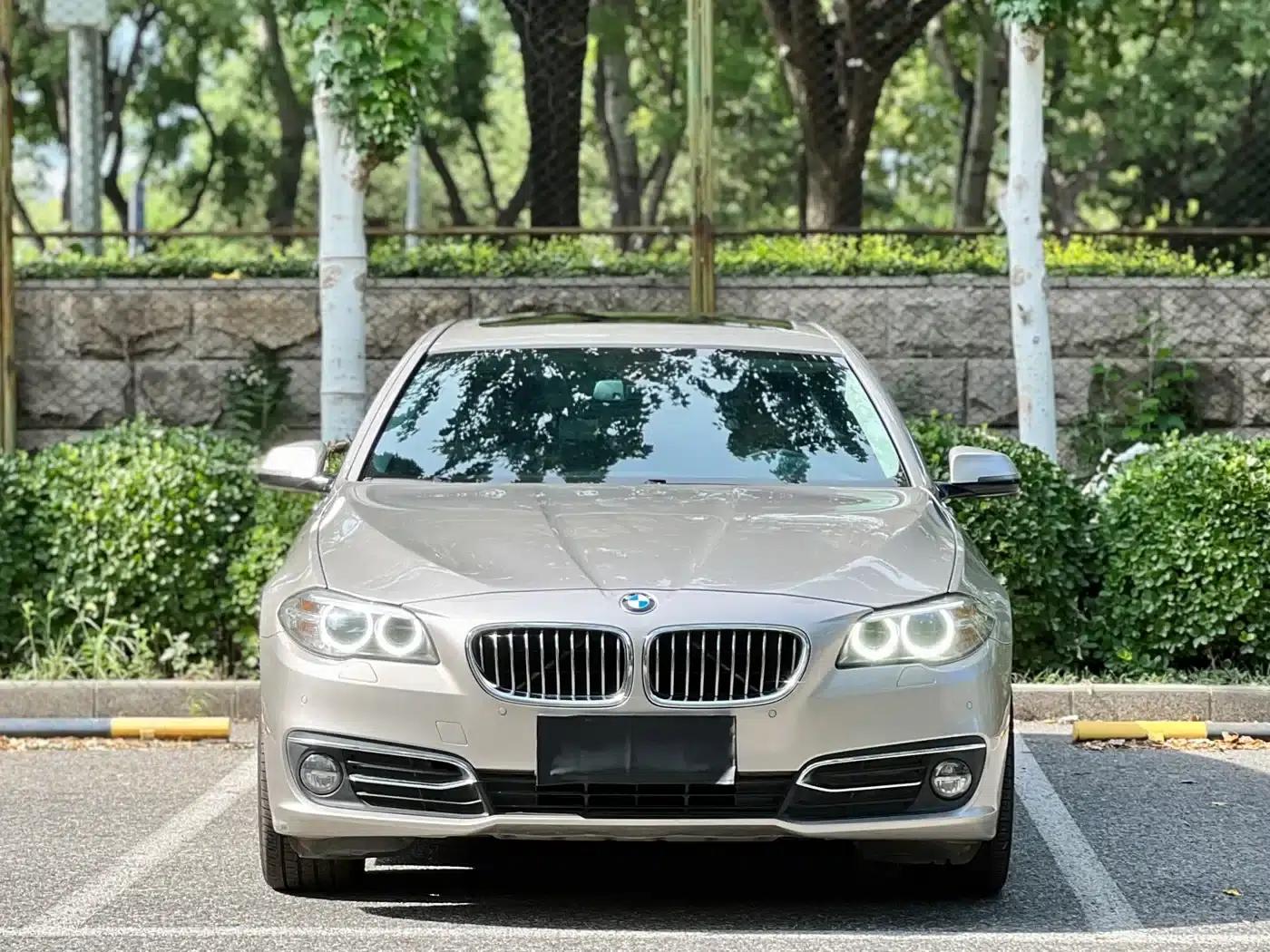 2014 BMW 5 Series 525Li Luxury Design Package — миниатюра 2