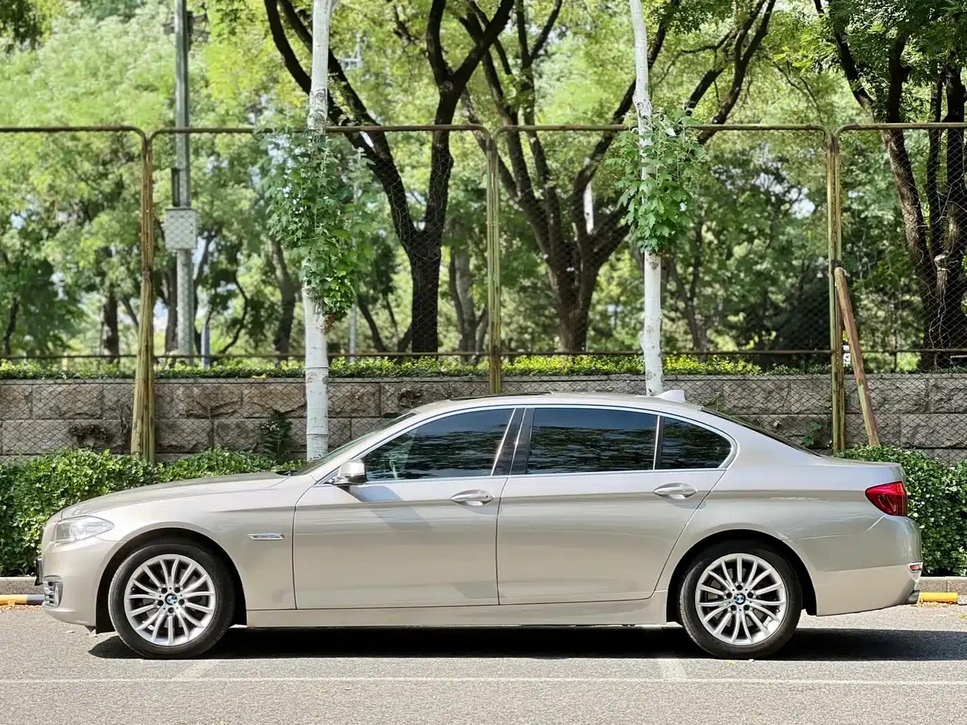 2014 BMW 5 Series 525Li Luxury Design Package — миниатюра 15