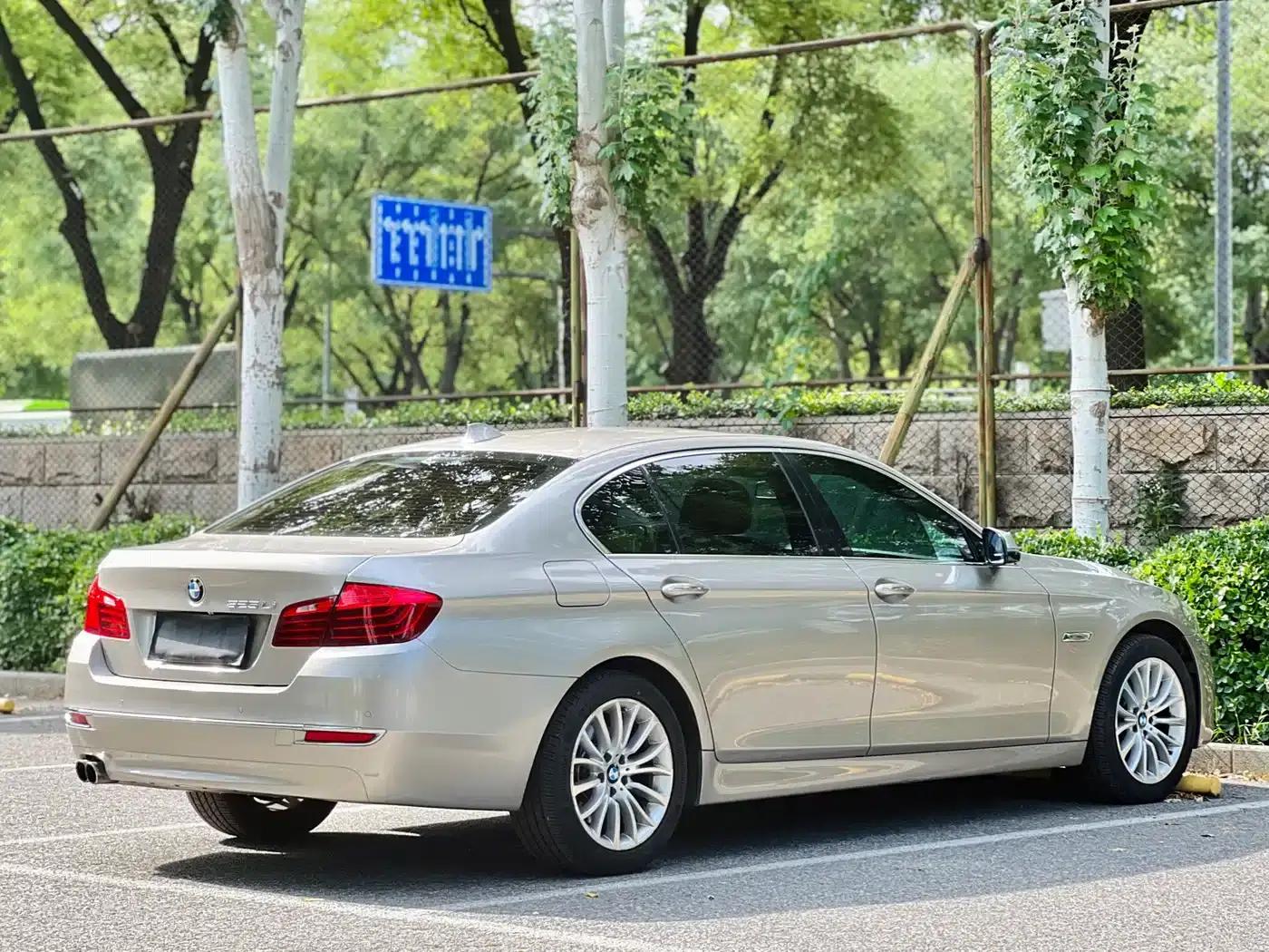 2014 BMW 5 Series 525Li Luxury Design Package — миниатюра 17
