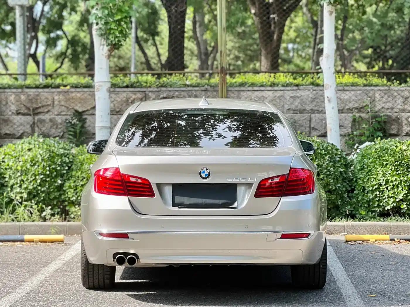 2014 BMW 5 Series 525Li Luxury Design Package — миниатюра 18