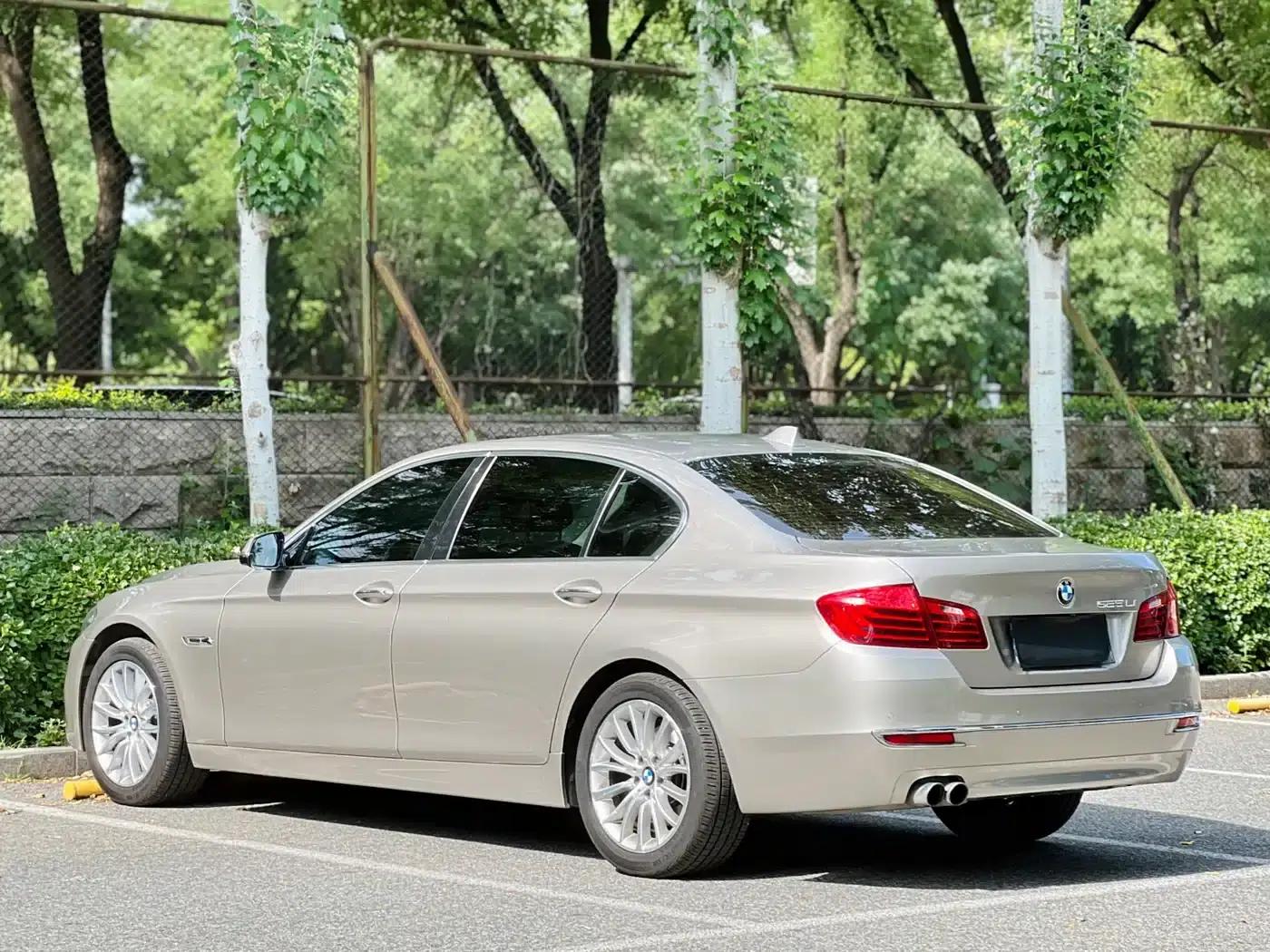 2014 BMW 5 Series 525Li Luxury Design Package — миниатюра 19