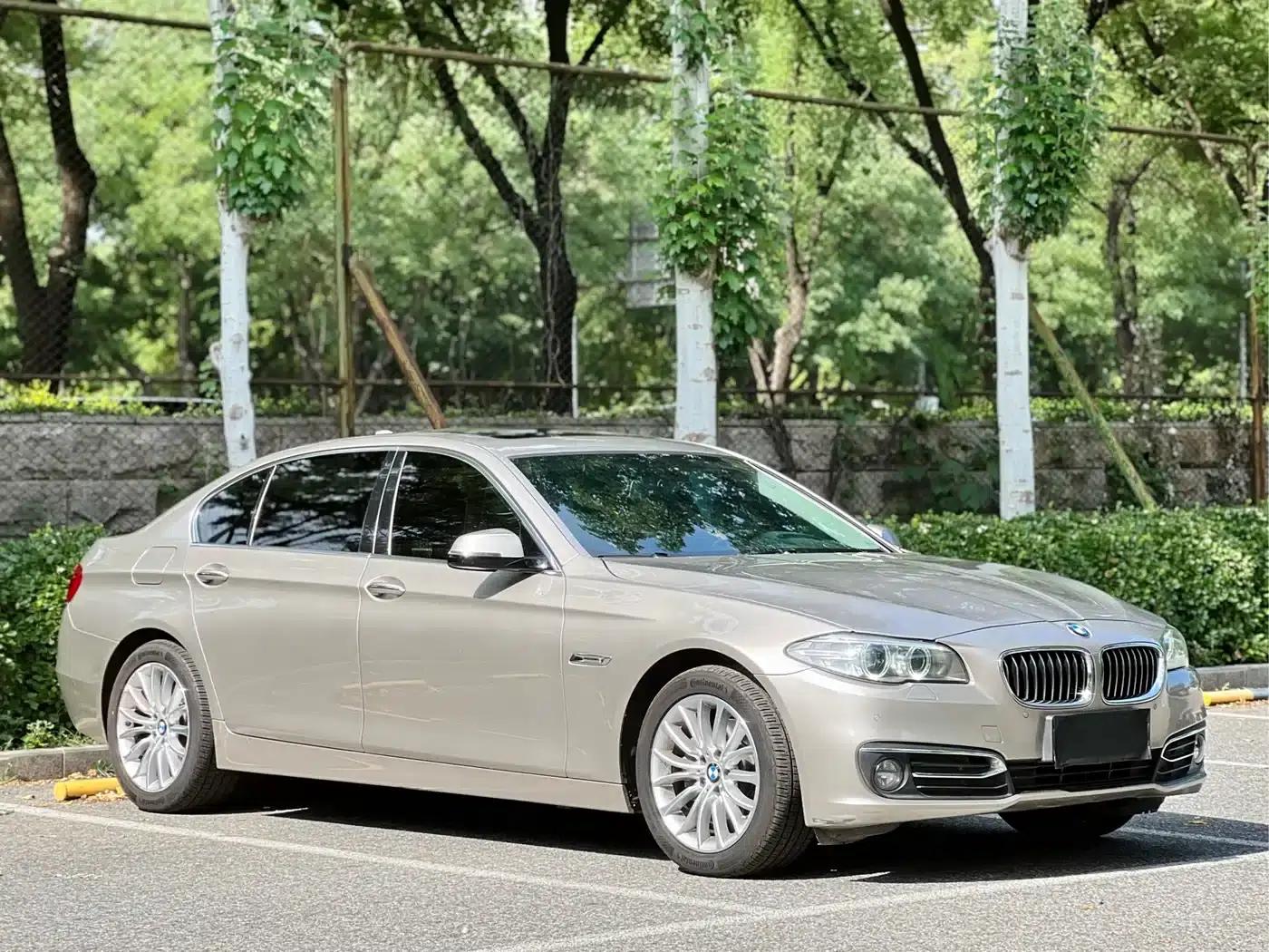 2014 BMW 5 Series 525Li Luxury Design Package — миниатюра 3