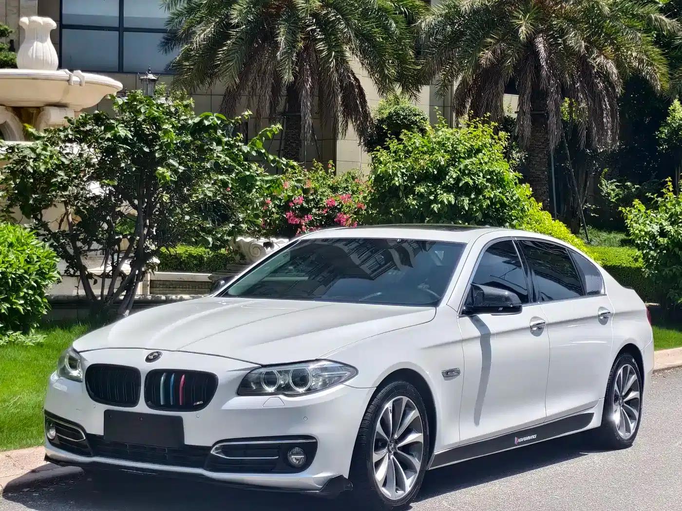 2017 BMW 5 Series 525Li Luxury Design Package — миниатюра 1