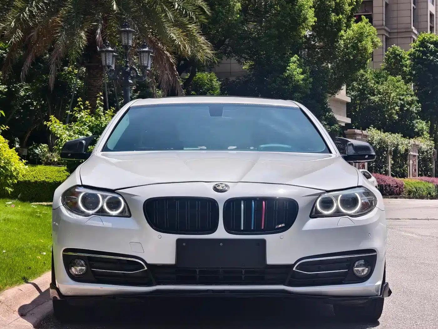 2017 BMW 5 Series 525Li Luxury Design Package — миниатюра 2