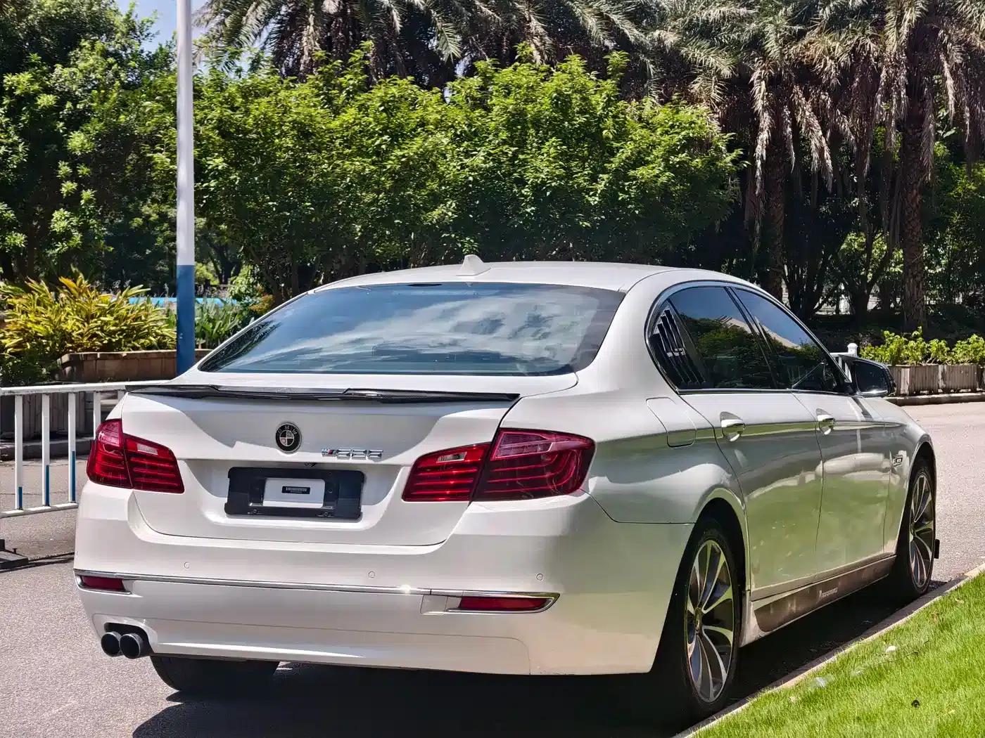 2017 BMW 5 Series 525Li Luxury Design Package — миниатюра 7