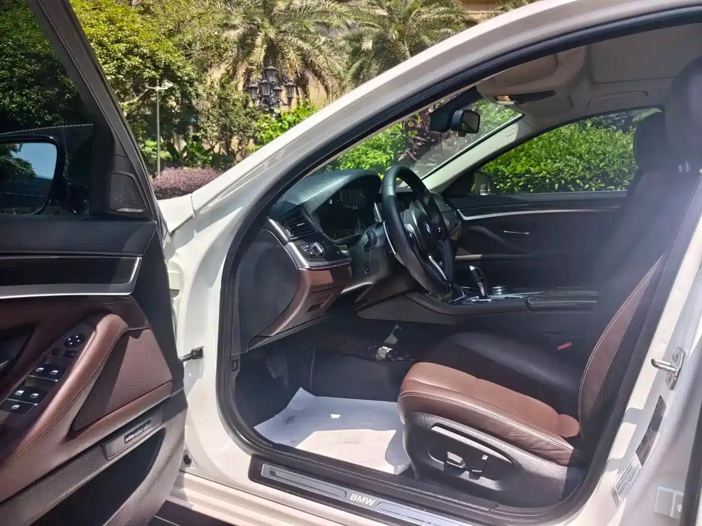 2017 BMW 5 Series 525Li Luxury Design Package — миниатюра 8