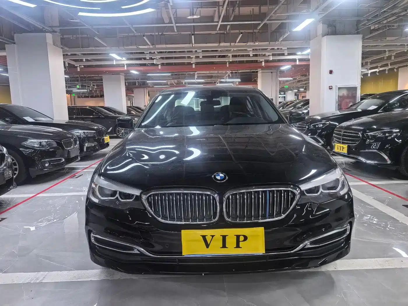 BMW 5 Series 2019 530Li Leading Luxury Package — миниатюра 2