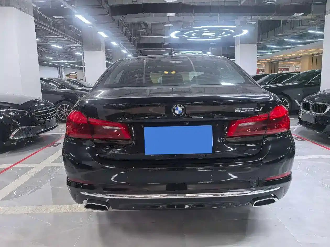 BMW 5 Series 2019 530Li Leading Luxury Package — миниатюра 11