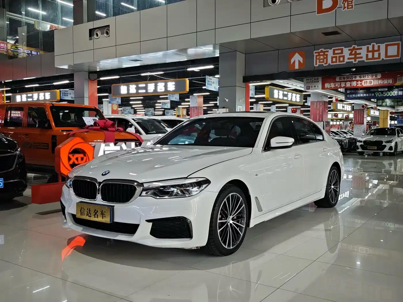 2020 BMW 5 Series 530Li Luxury M Sport Package — миниатюра 1