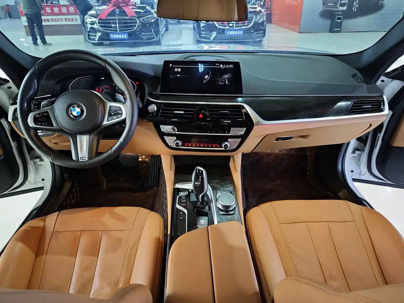 2020 BMW 5 Series 530Li Luxury M Sport Package — миниатюра 13