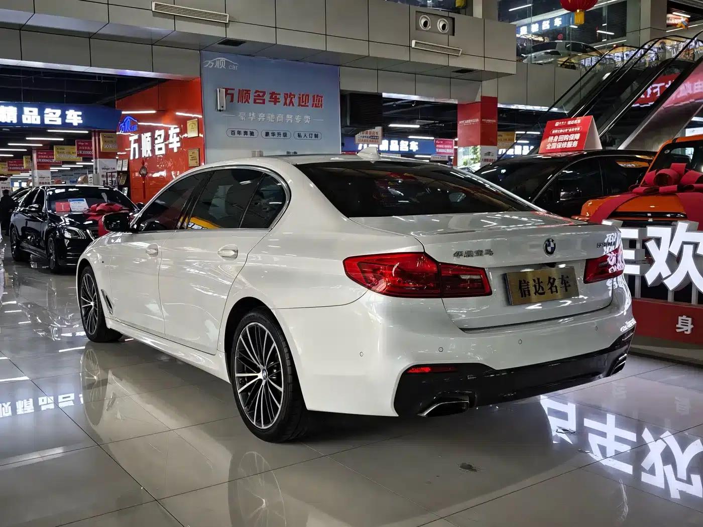 2020 BMW 5 Series 530Li Luxury M Sport Package — миниатюра 16