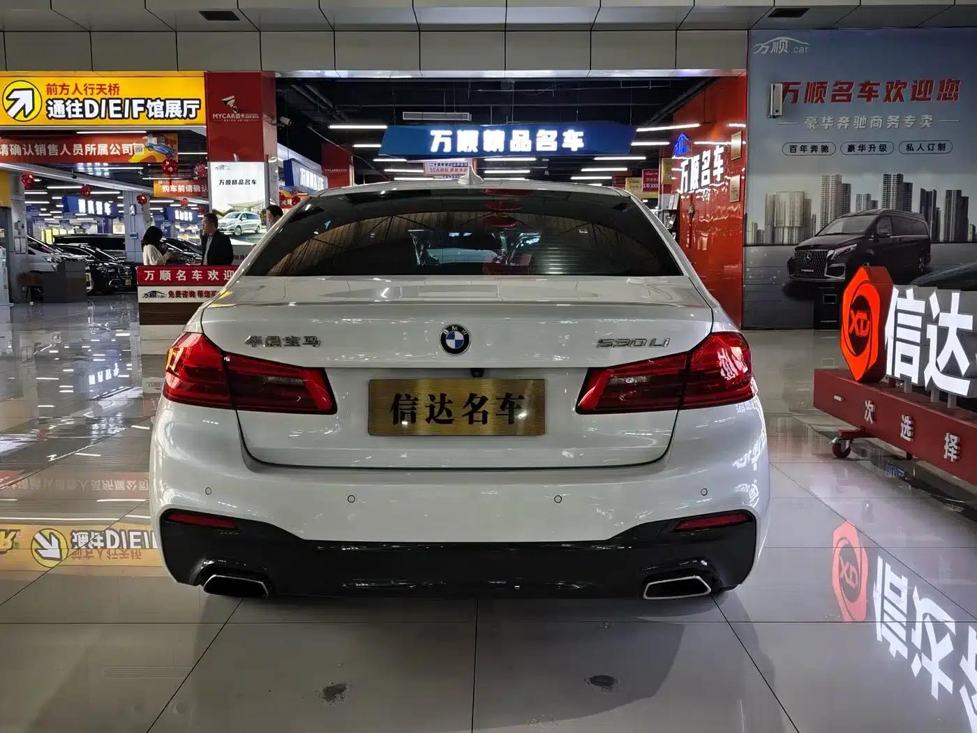 2020 BMW 5 Series 530Li Luxury M Sport Package — миниатюра 17