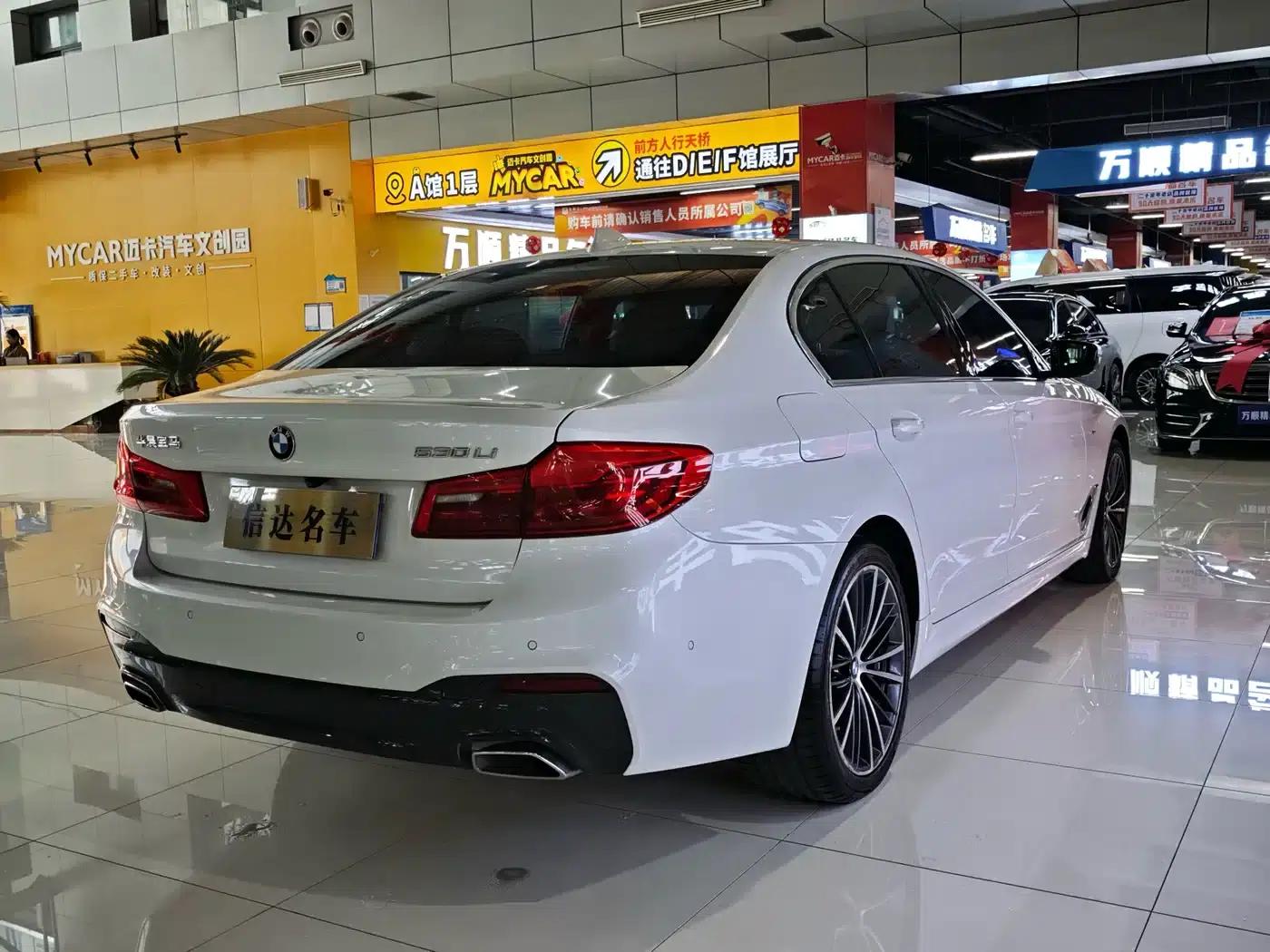 2020 BMW 5 Series 530Li Luxury M Sport Package — миниатюра 18