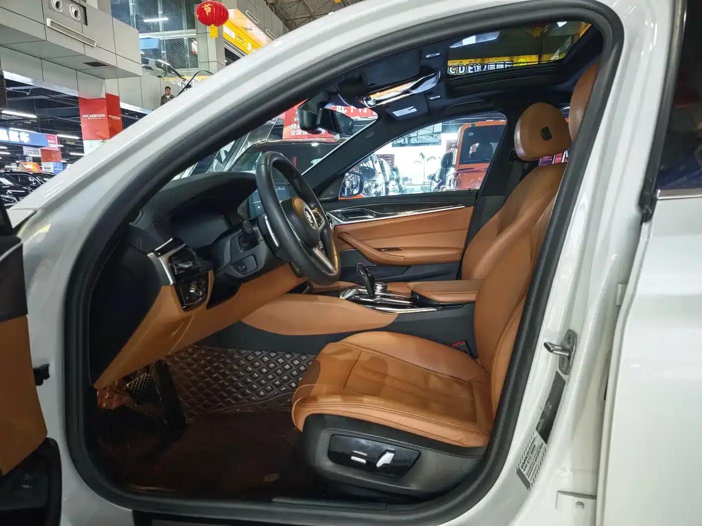 2020 BMW 5 Series 530Li Luxury M Sport Package — миниатюра 5