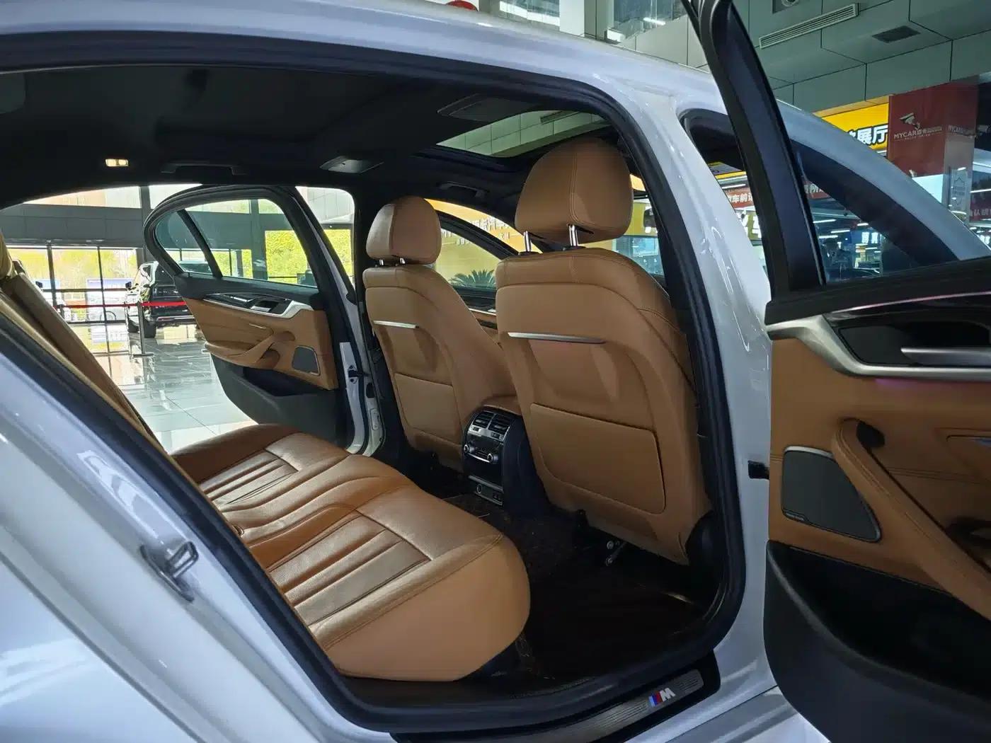 2020 BMW 5 Series 530Li Luxury M Sport Package — миниатюра 8