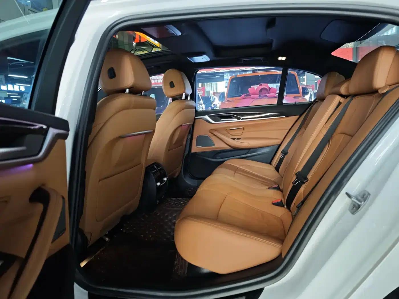 2020 BMW 5 Series 530Li Luxury M Sport Package — миниатюра 10