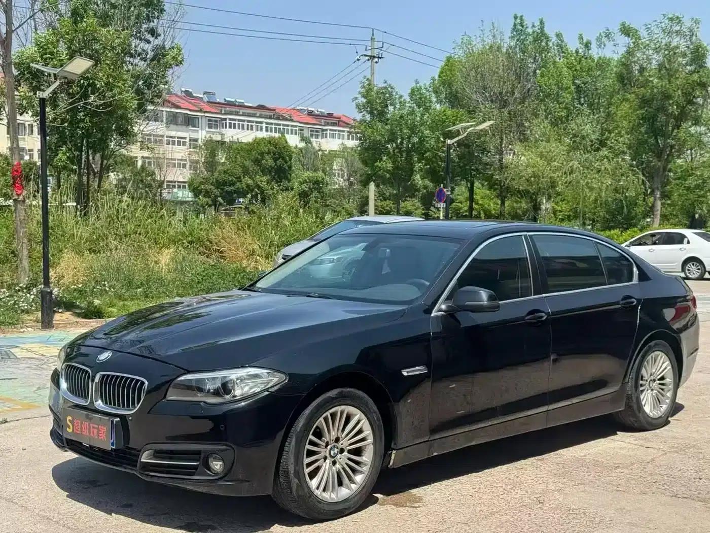 2014 BMW 5 Series 525Li Leading Edition — миниатюра 1