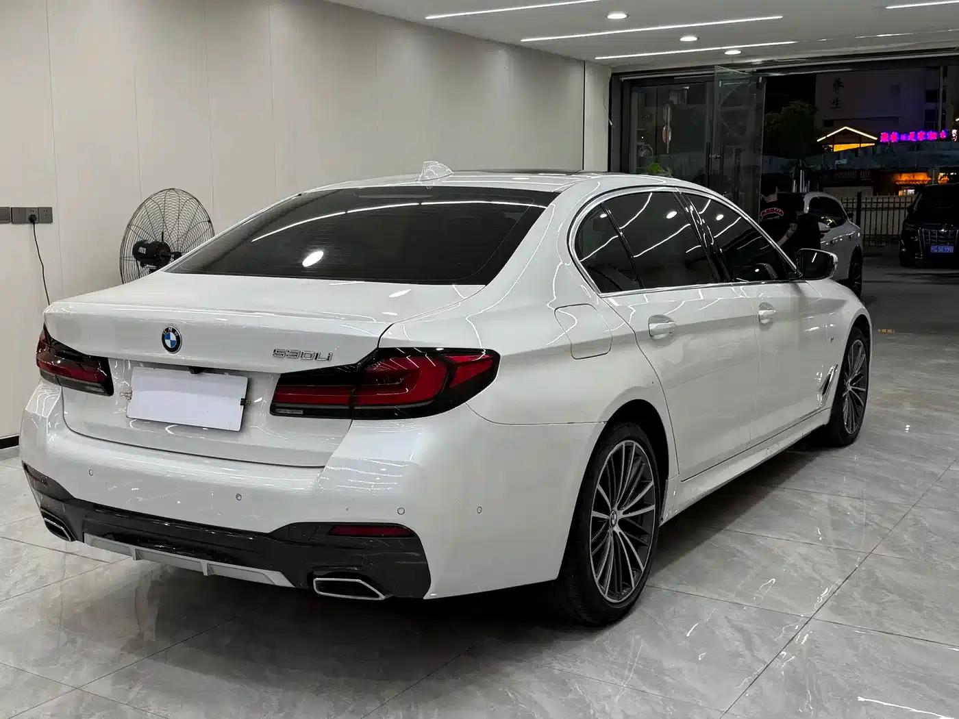 2022 BMW 5 Series 530Li Leading Edition M Sport Package — миниатюра 6