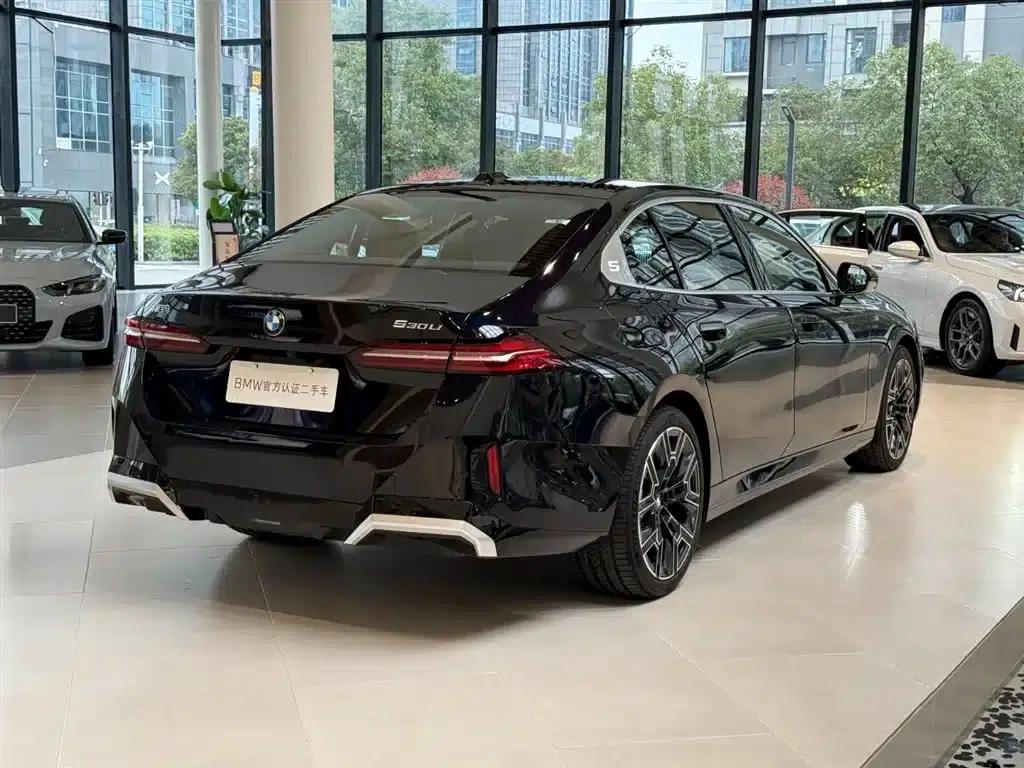 2025 BMW 5 Series 530Li Luxury M Sport Package — миниатюра 13