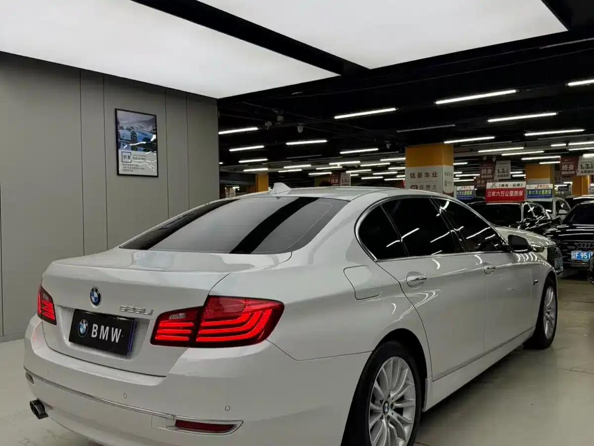 2014 BMW 5 Series 525Li Luxury Design Package — миниатюра 6