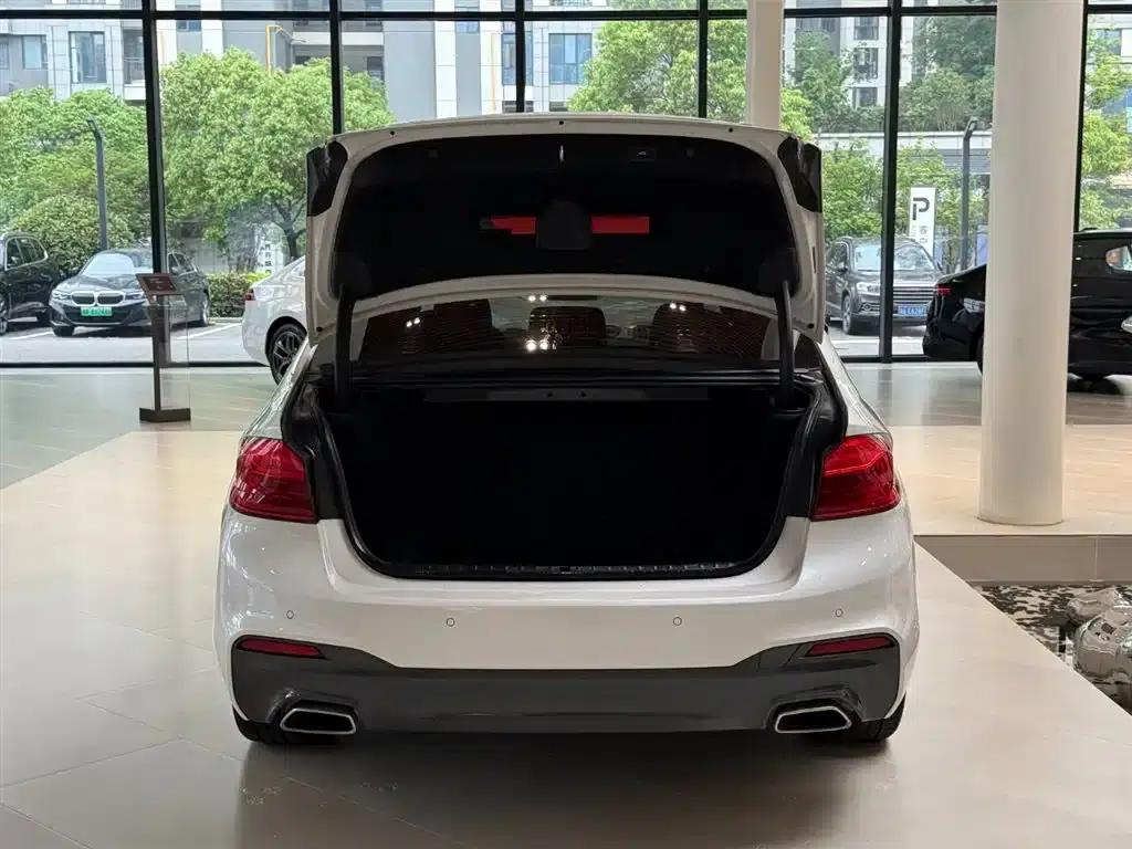 2020 BMW 5 Series 525Li M Sport Package — миниатюра 14