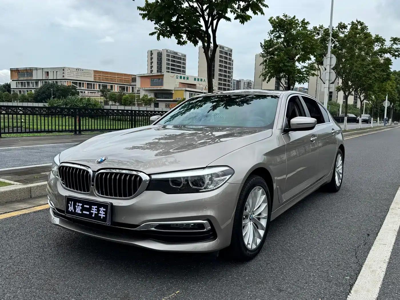 BMW 5 Series 2019 530Li Leading Luxury Package — миниатюра 1