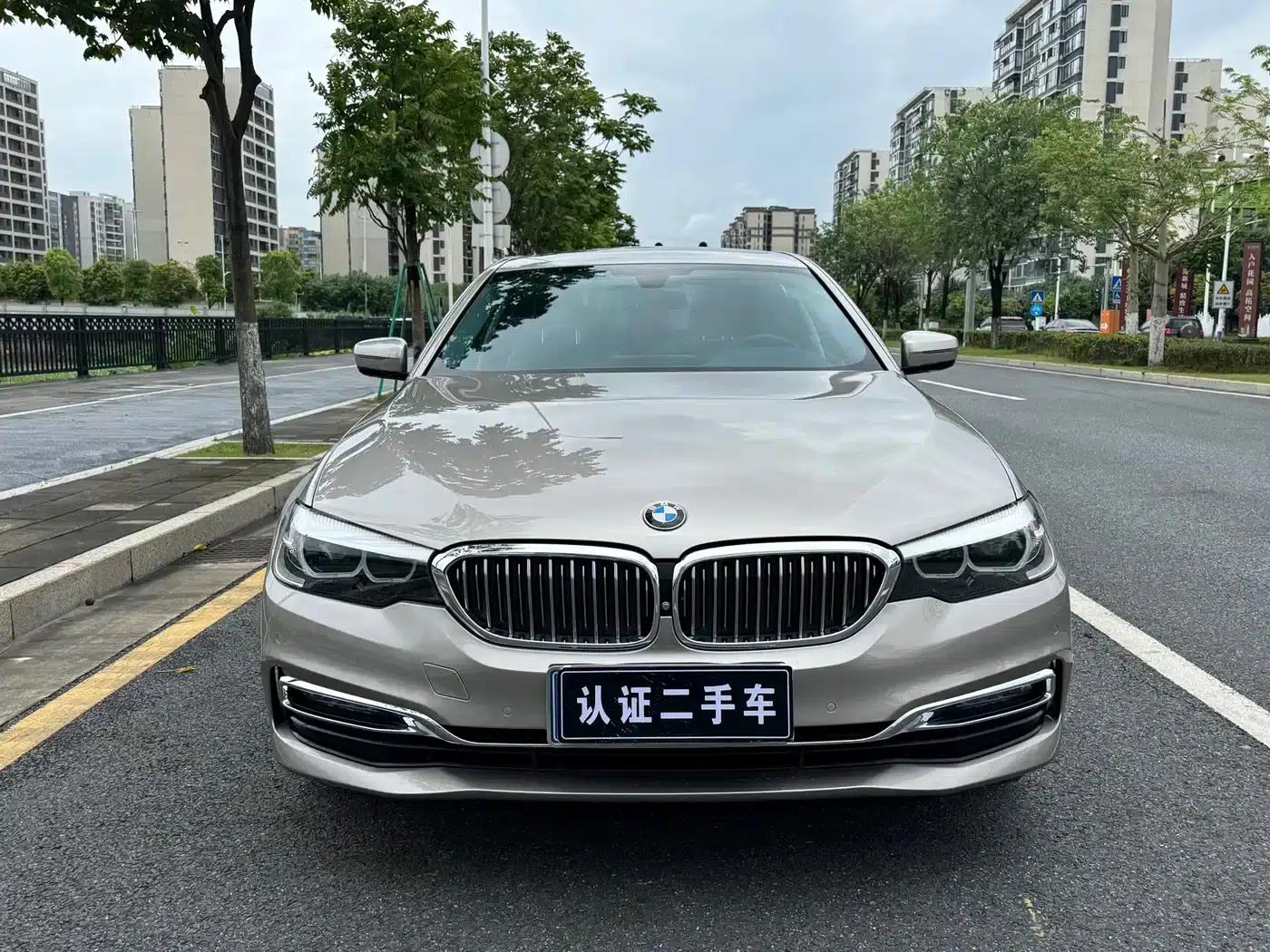BMW 5 Series 2019 530Li Leading Luxury Package — миниатюра 2