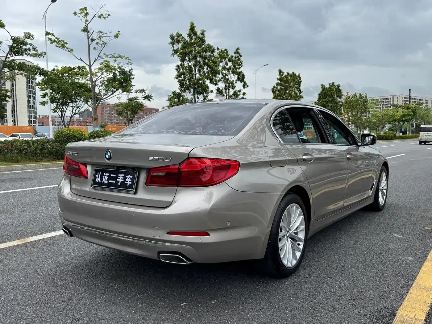 BMW 5 Series 2019 530Li Leading Luxury Package — миниатюра 5