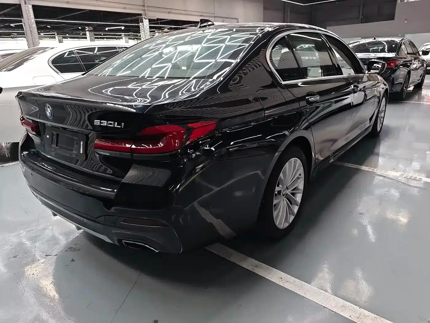 2018 BMW 5 Series Facelift 530Li Leading Luxury Package — миниатюра 19