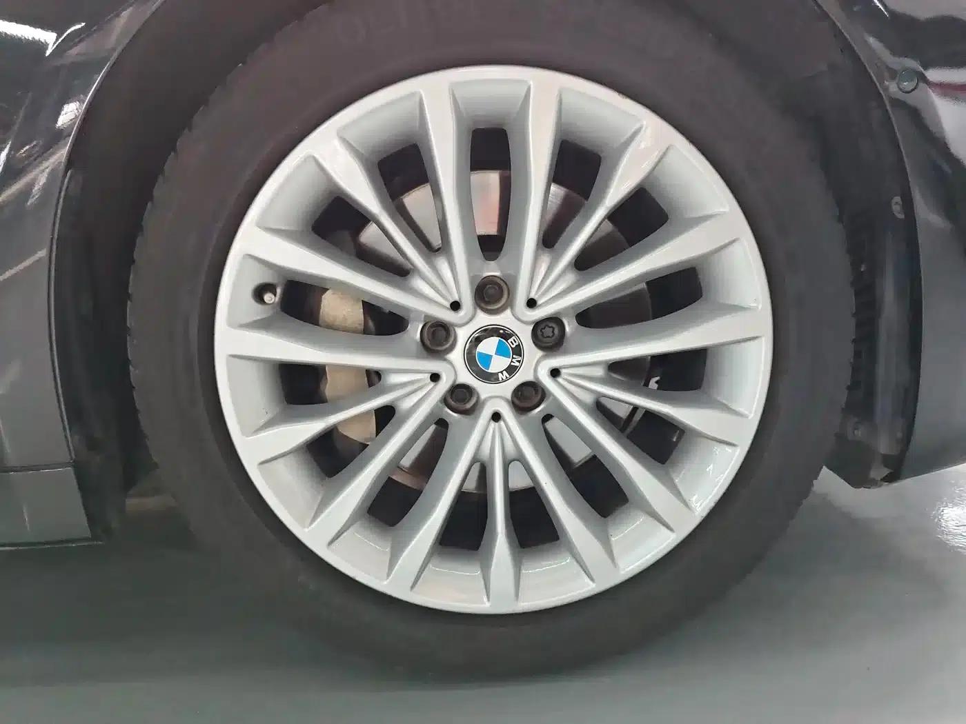 2018 BMW 5 Series Facelift 530Li Leading Luxury Package — миниатюра 4