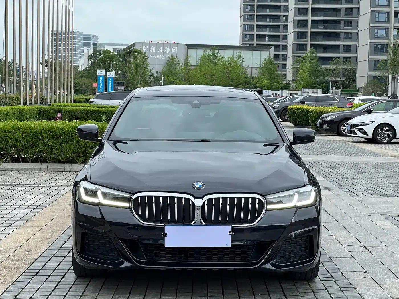 2021 BMW 5 Series Facelift 530Li Luxury M Sport Package — миниатюра 2