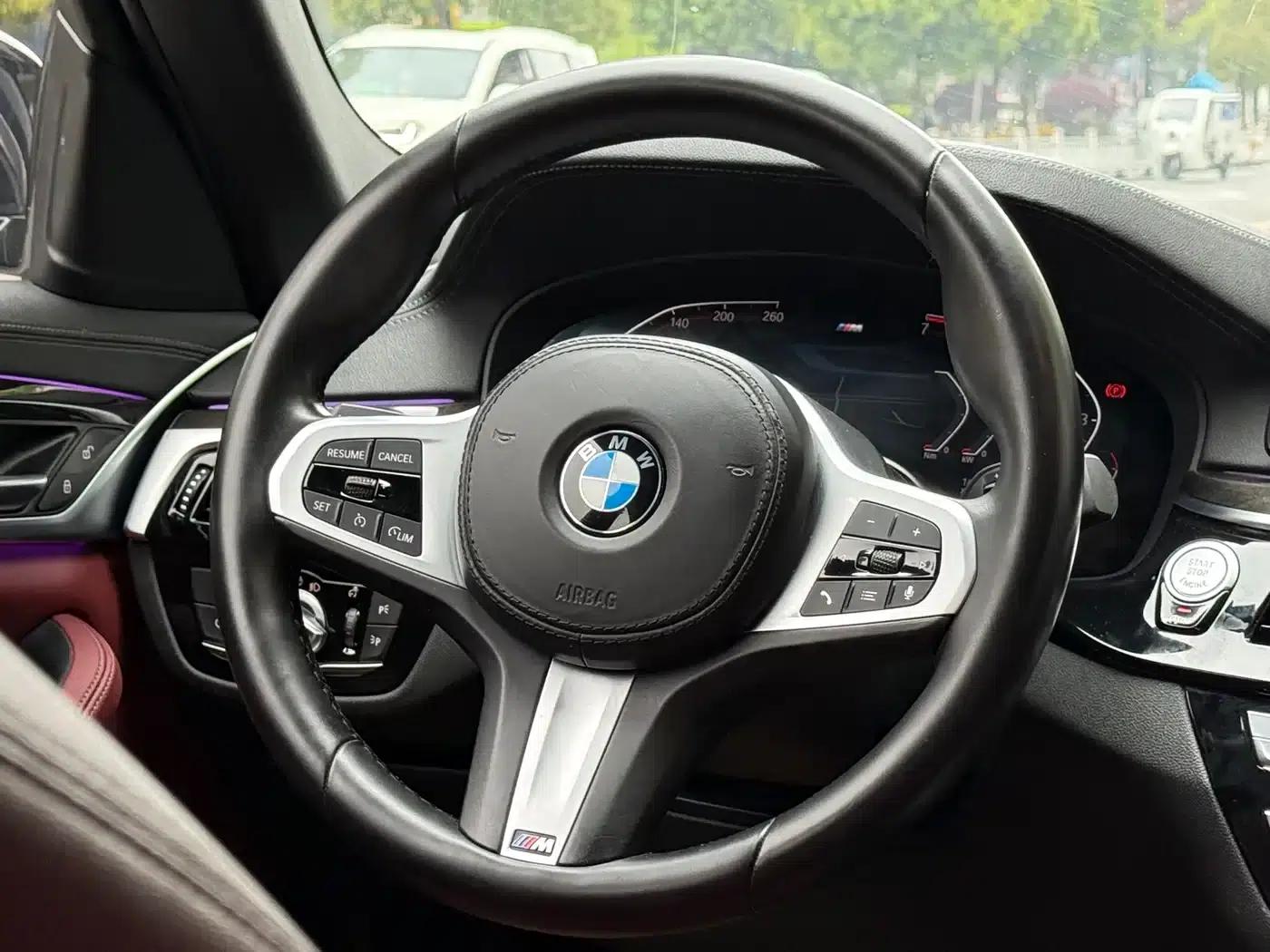 2021 BMW 5 Series 530Li Leading Edition M Sport Package — миниатюра 10