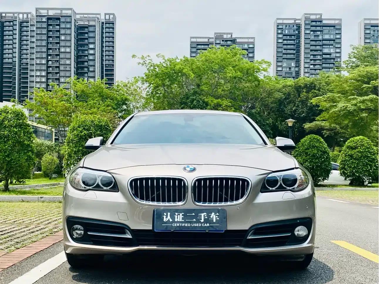 2014 BMW 5 Series 525Li Leading Edition — миниатюра 2