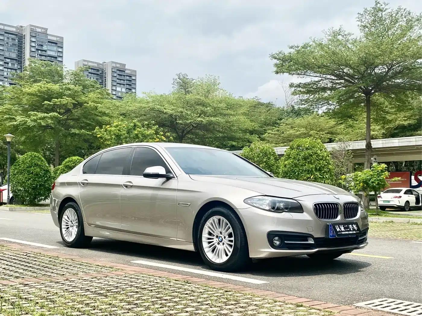 2014 BMW 5 Series 525Li Leading Edition — миниатюра 3