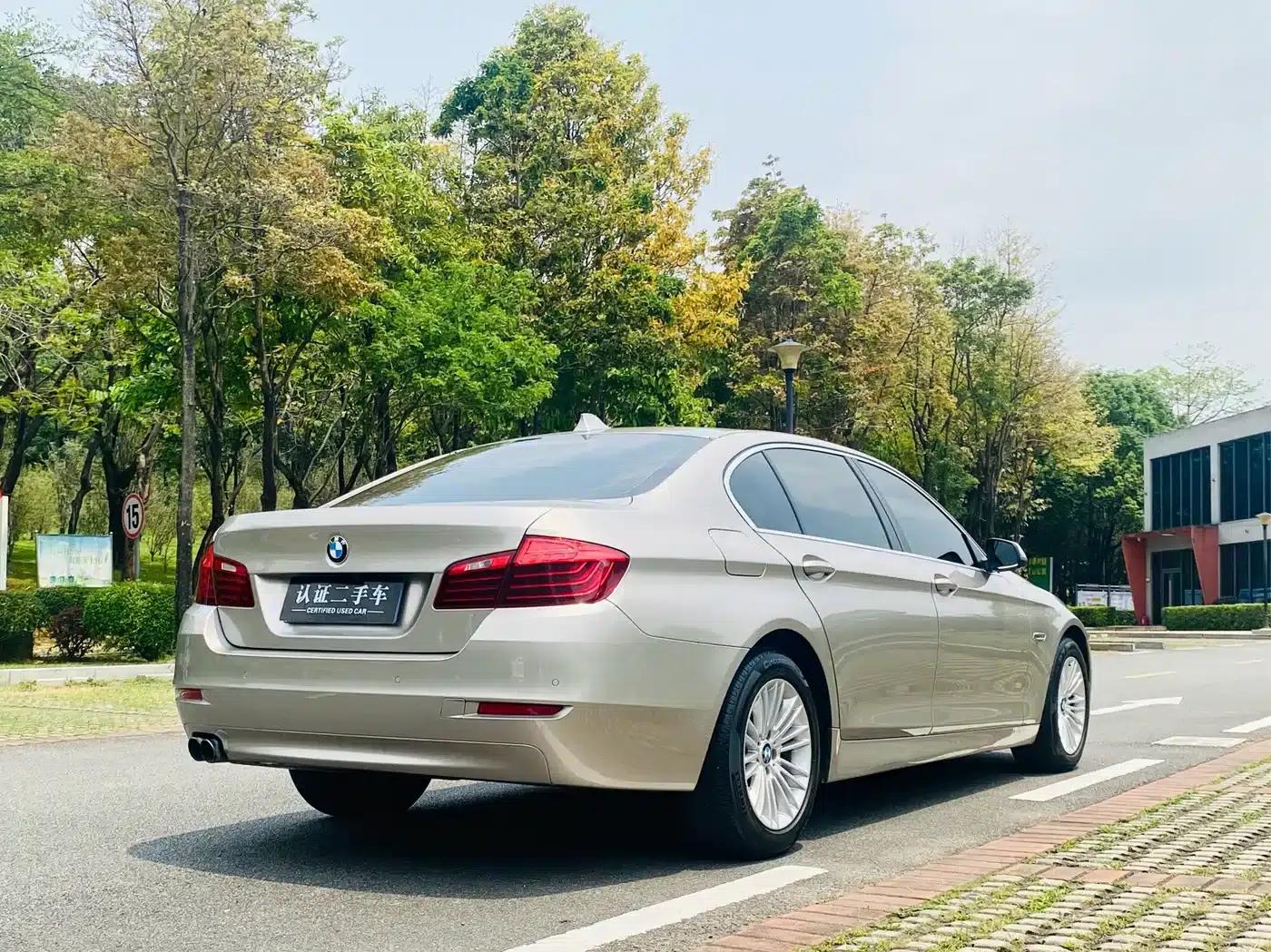2014 BMW 5 Series 525Li Leading Edition — миниатюра 5
