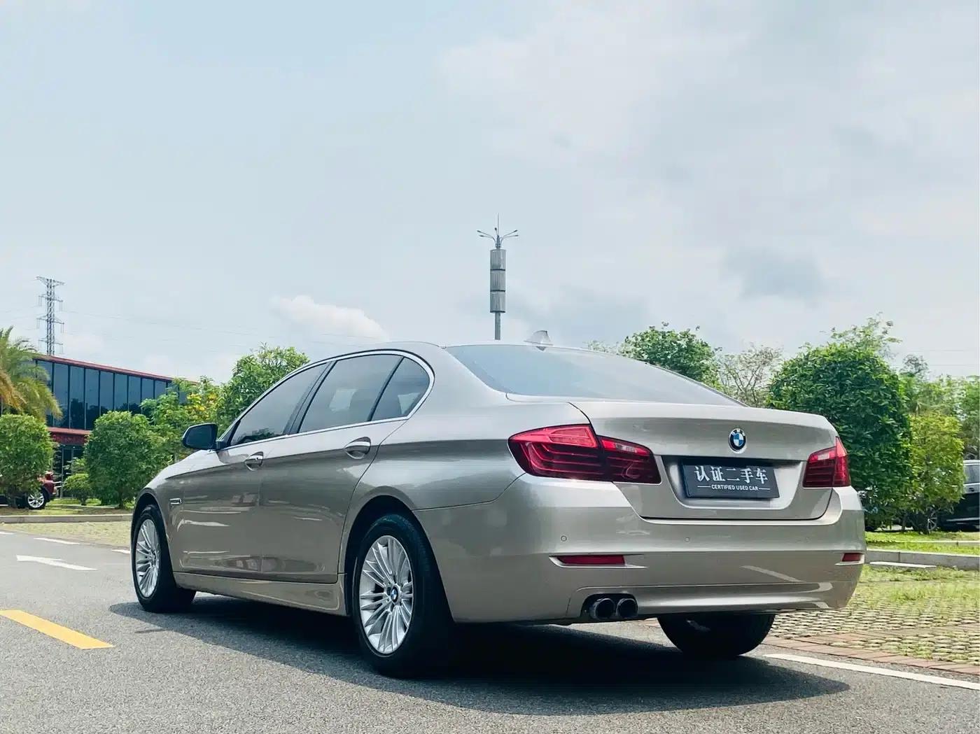 2014 BMW 5 Series 525Li Leading Edition — миниатюра 7