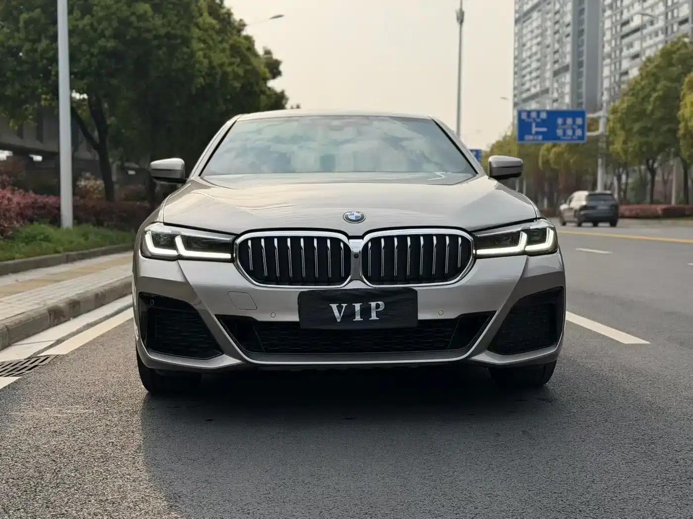 2021 BMW 5 Series 530Li Leading Edition M Sport Package — миниатюра 2