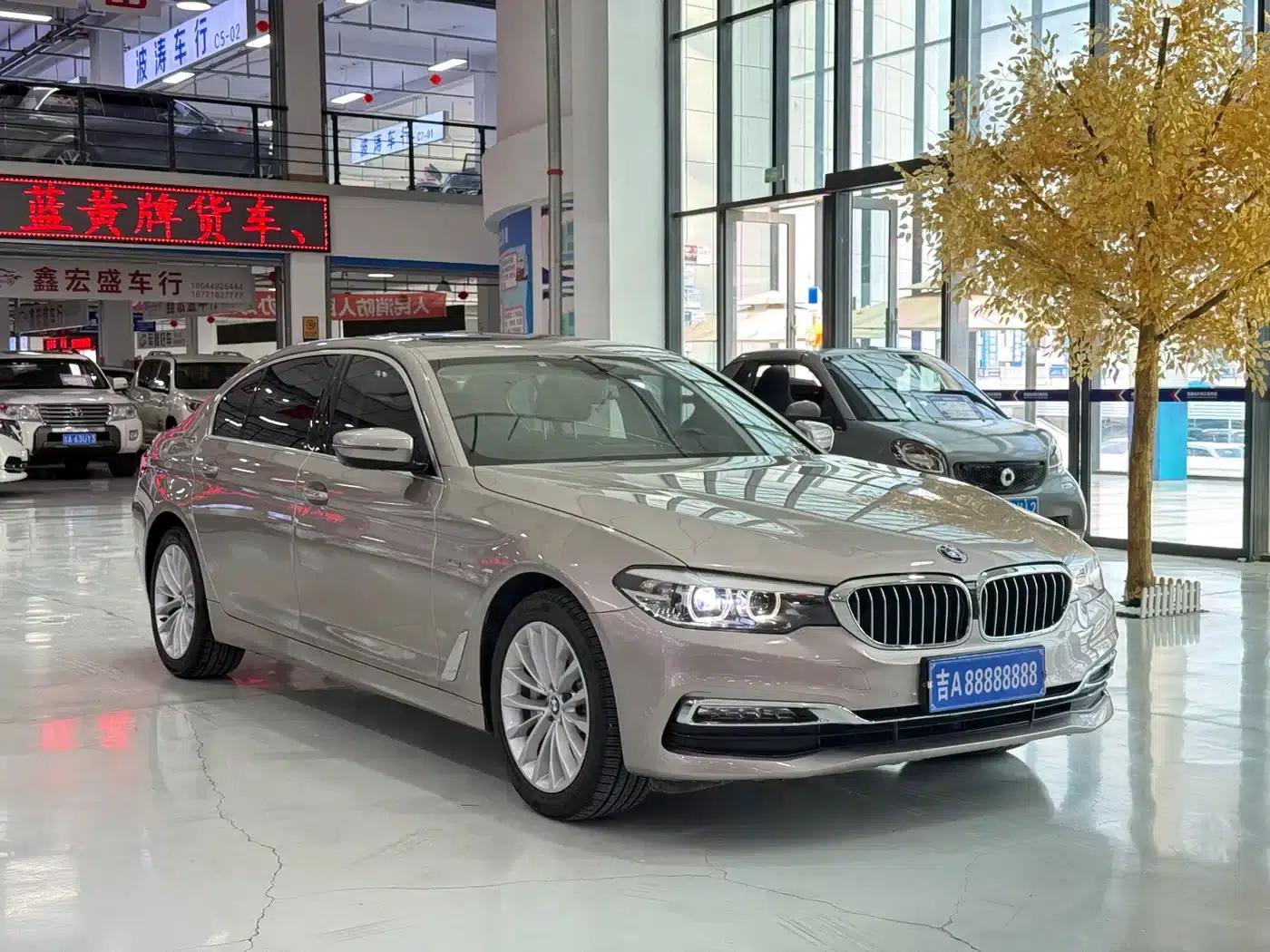 2018 BMW 5 Series Facelift 530Li xDrive Luxury Package — миниатюра 3