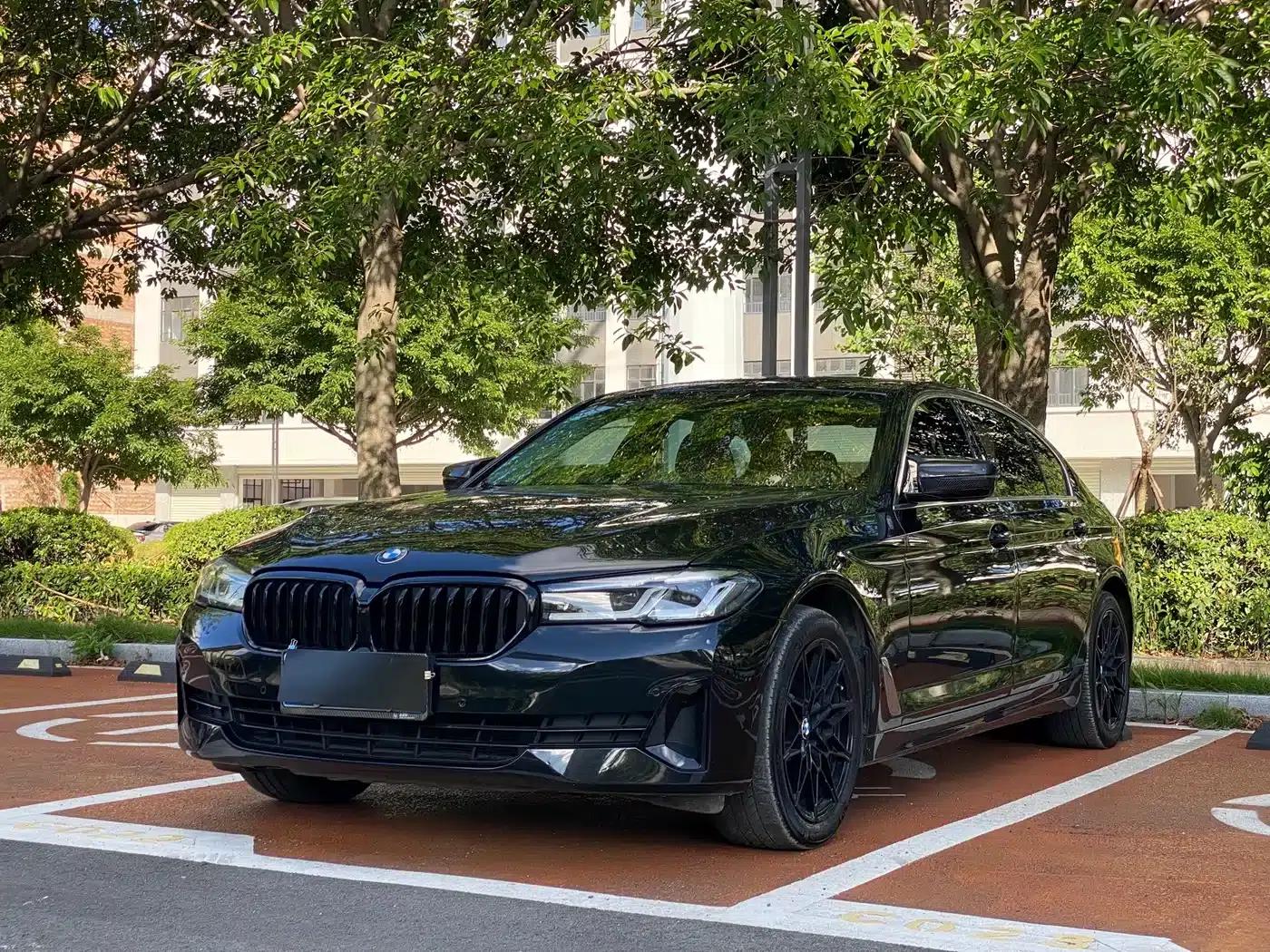 BMW 5 Series 2021 530Li Leading Luxury Package — миниатюра 1