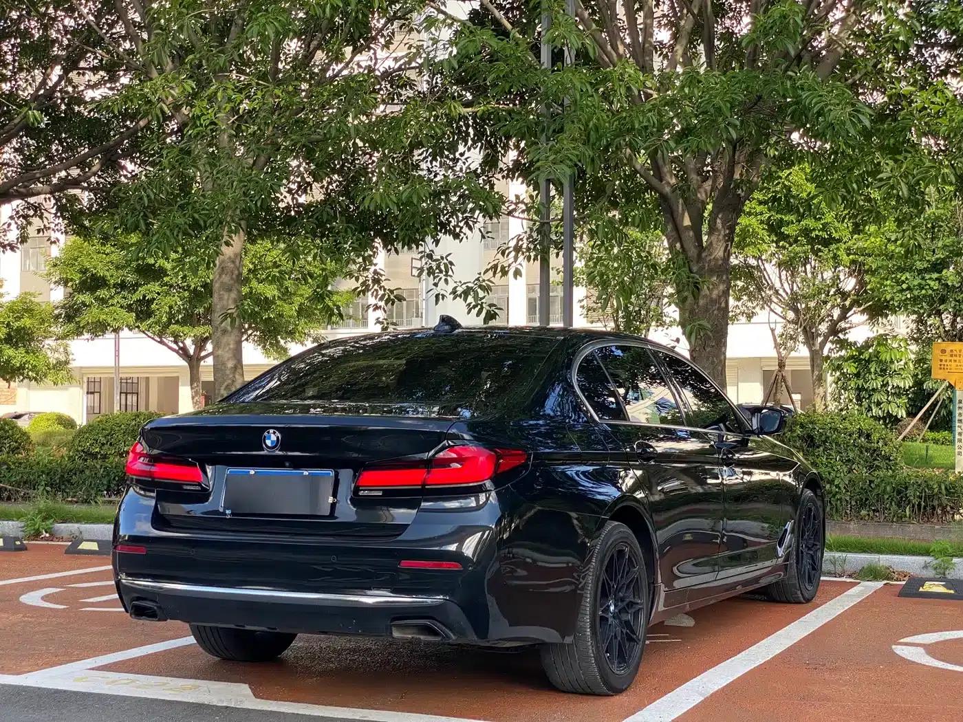 BMW 5 Series 2021 530Li Leading Luxury Package — миниатюра 7