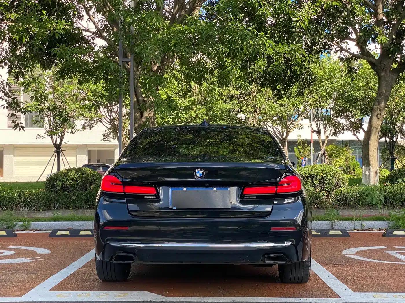 BMW 5 Series 2021 530Li Leading Luxury Package — миниатюра 8