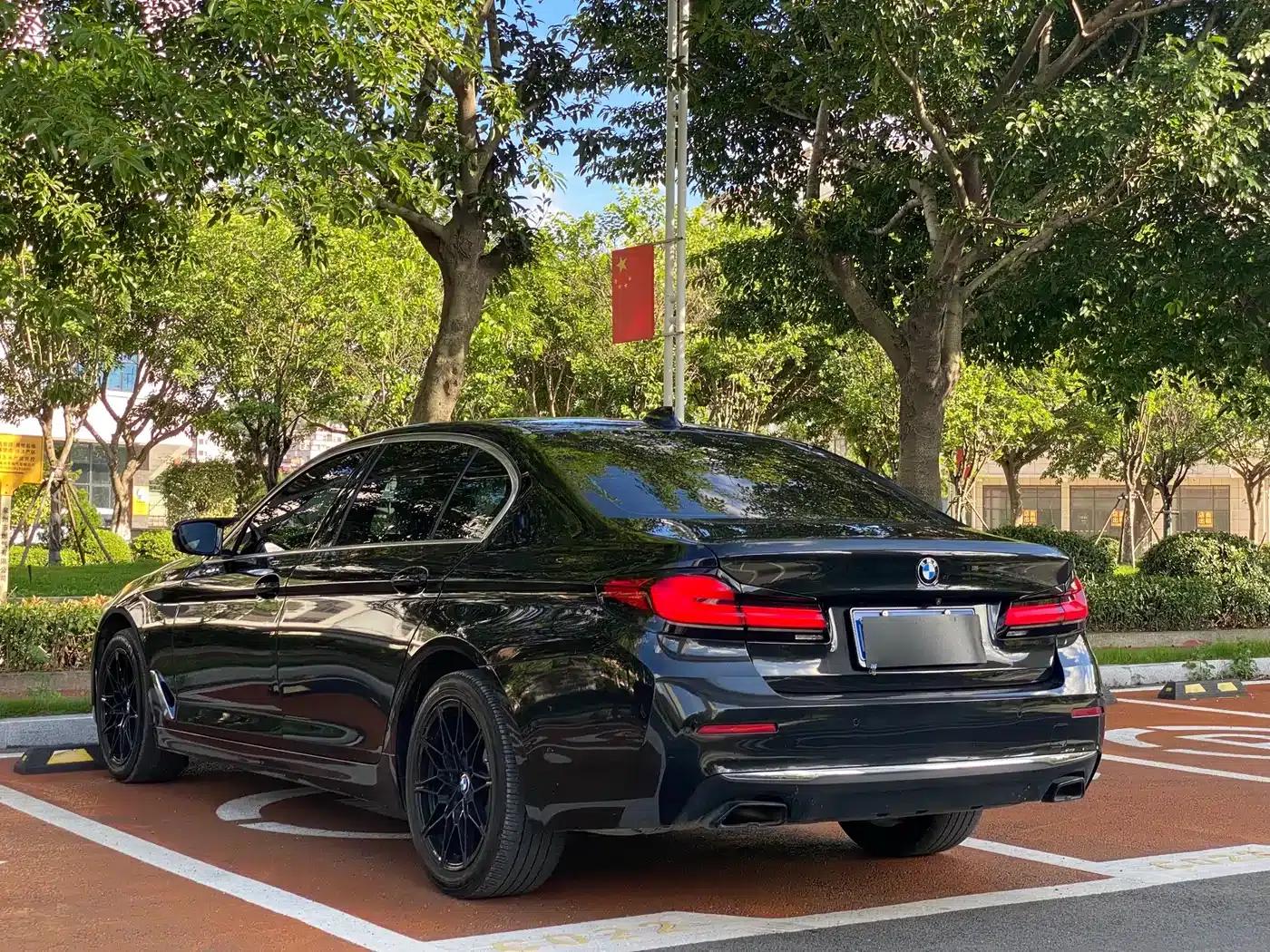 BMW 5 Series 2021 530Li Leading Luxury Package — миниатюра 9
