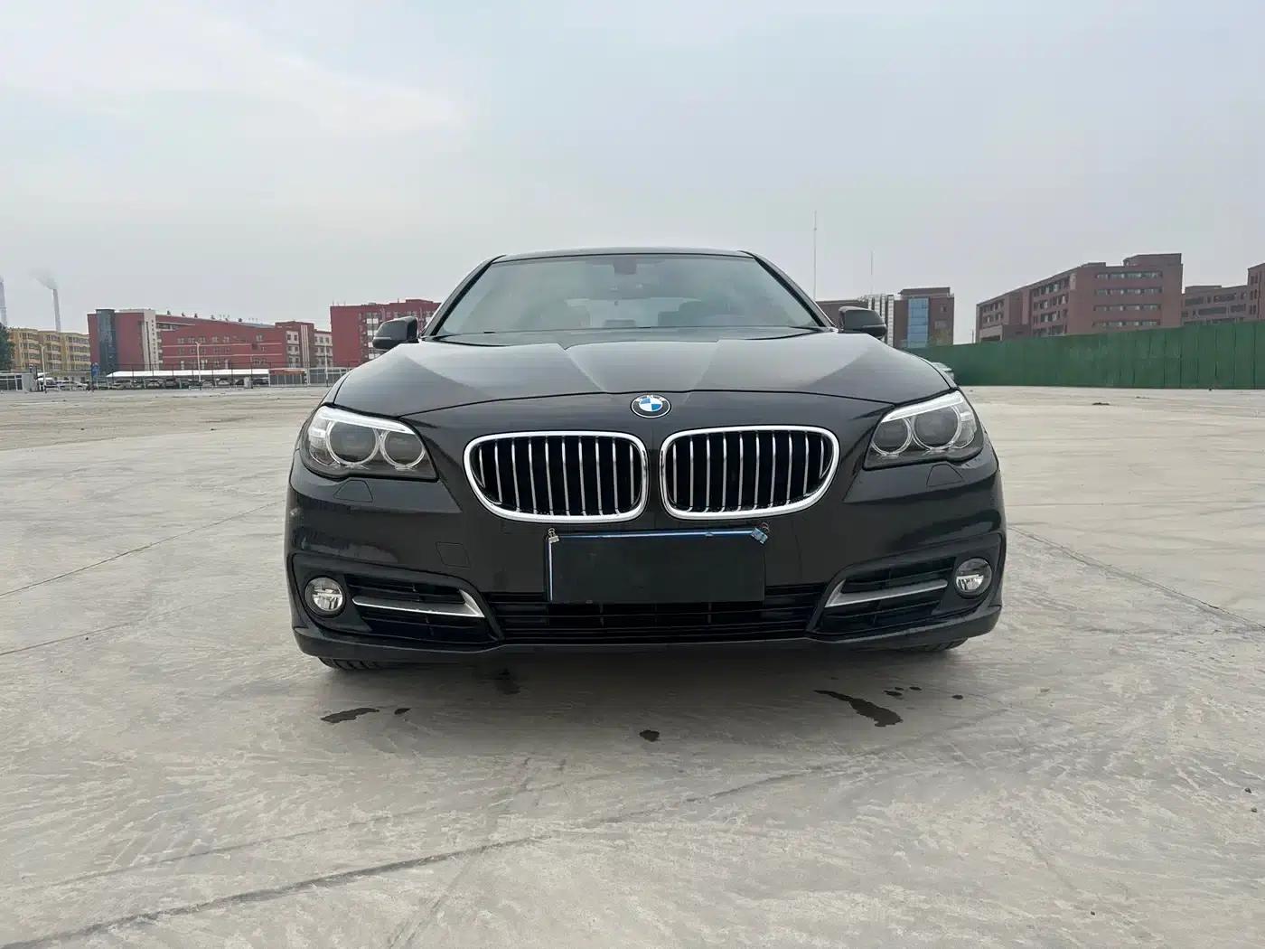 BMW 5 Series 2017 520Li Elegant Edition — миниатюра 2