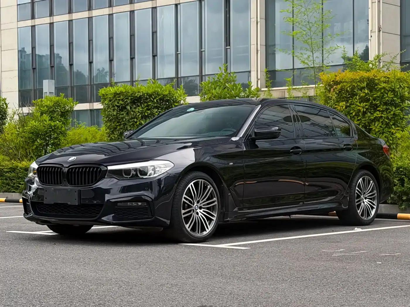 2019 BMW 5 Series 530Li Leading Edition M Sport Package — миниатюра 1