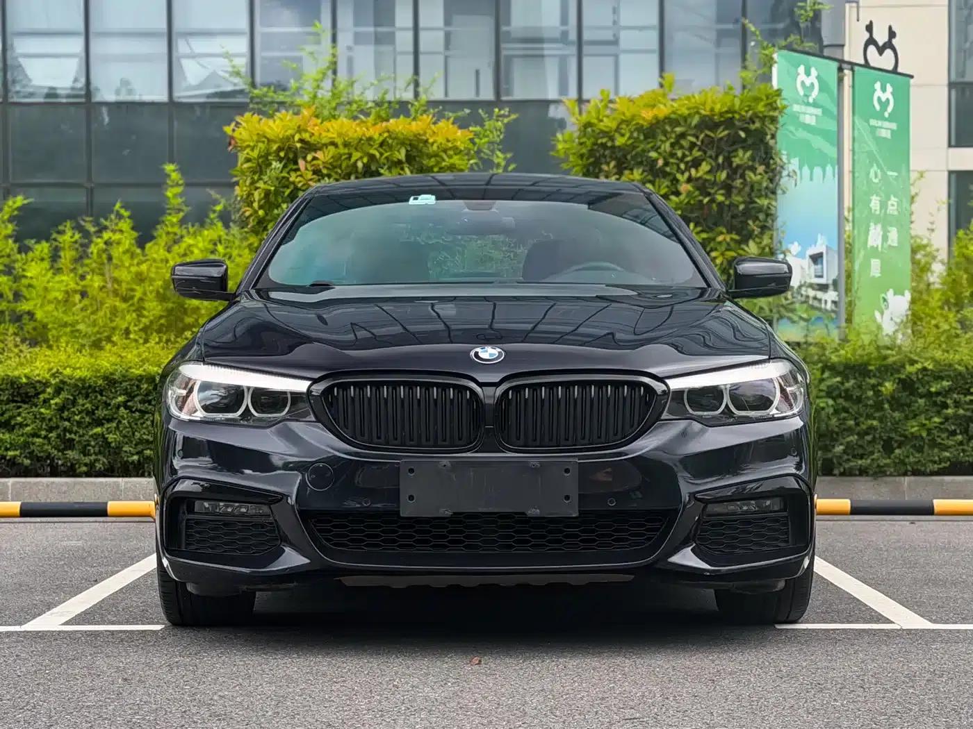 2019 BMW 5 Series 530Li Leading Edition M Sport Package — миниатюра 2