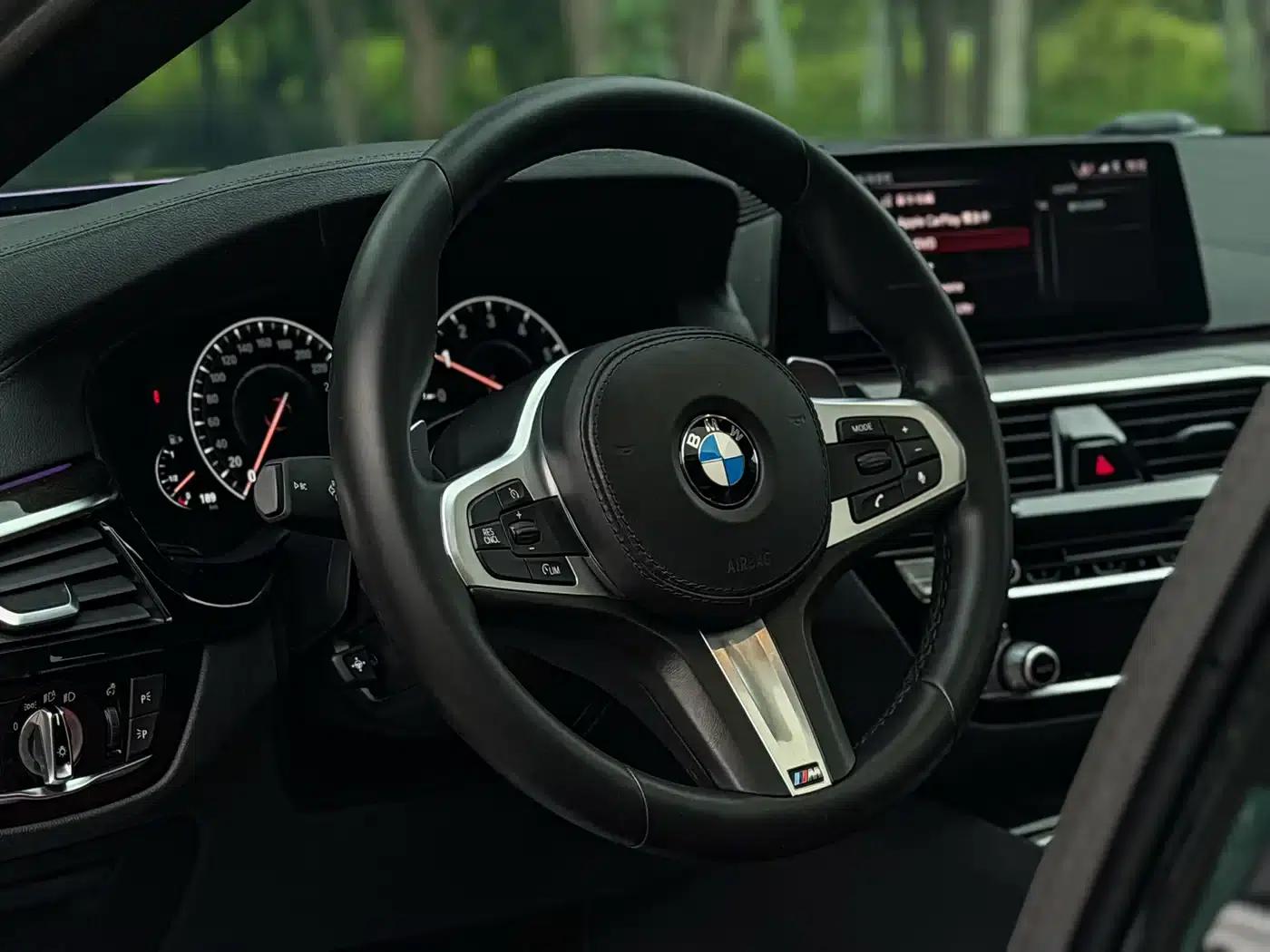 2019 BMW 5 Series 530Li Leading Edition M Sport Package — миниатюра 7